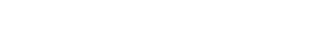 garritz_international_logo